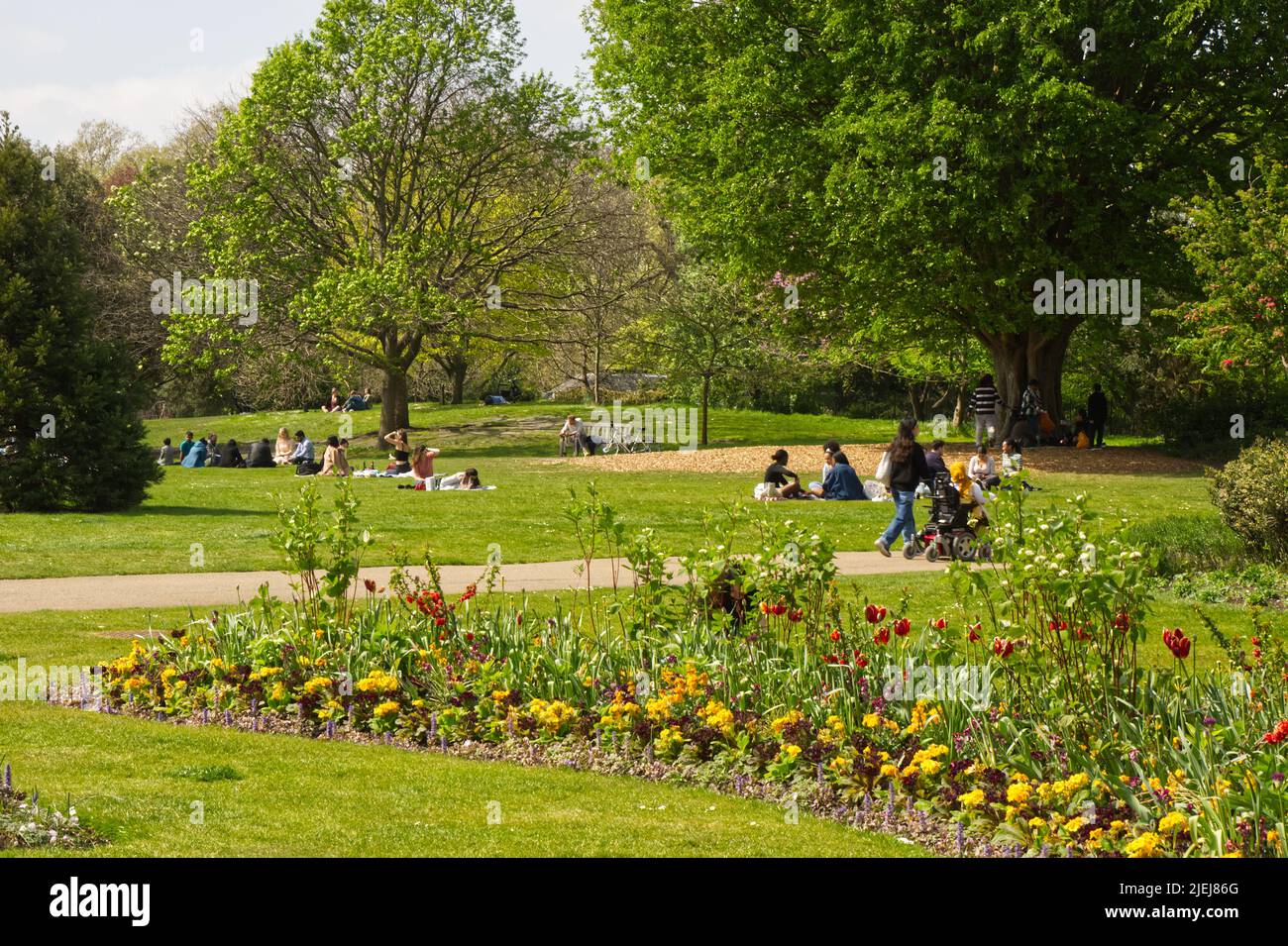 People enjoying sunshine in Hyde Park, Westminster, London, England Stock Photo