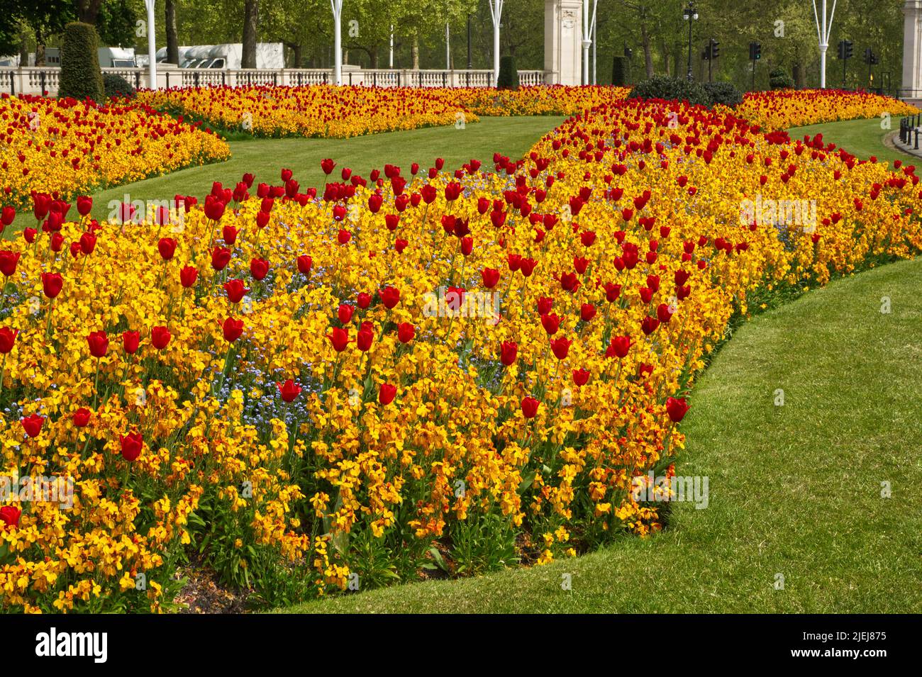 Formal beds of flowers outside Buckingham Palace and end of The Mall in