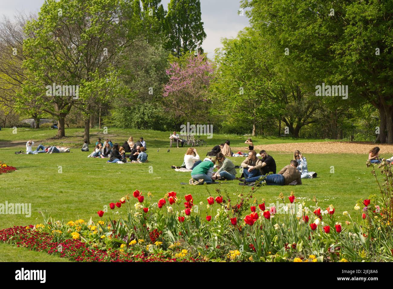 People enjoying sunshine in Hyde Park, Westminster, London, England. Stock Photo