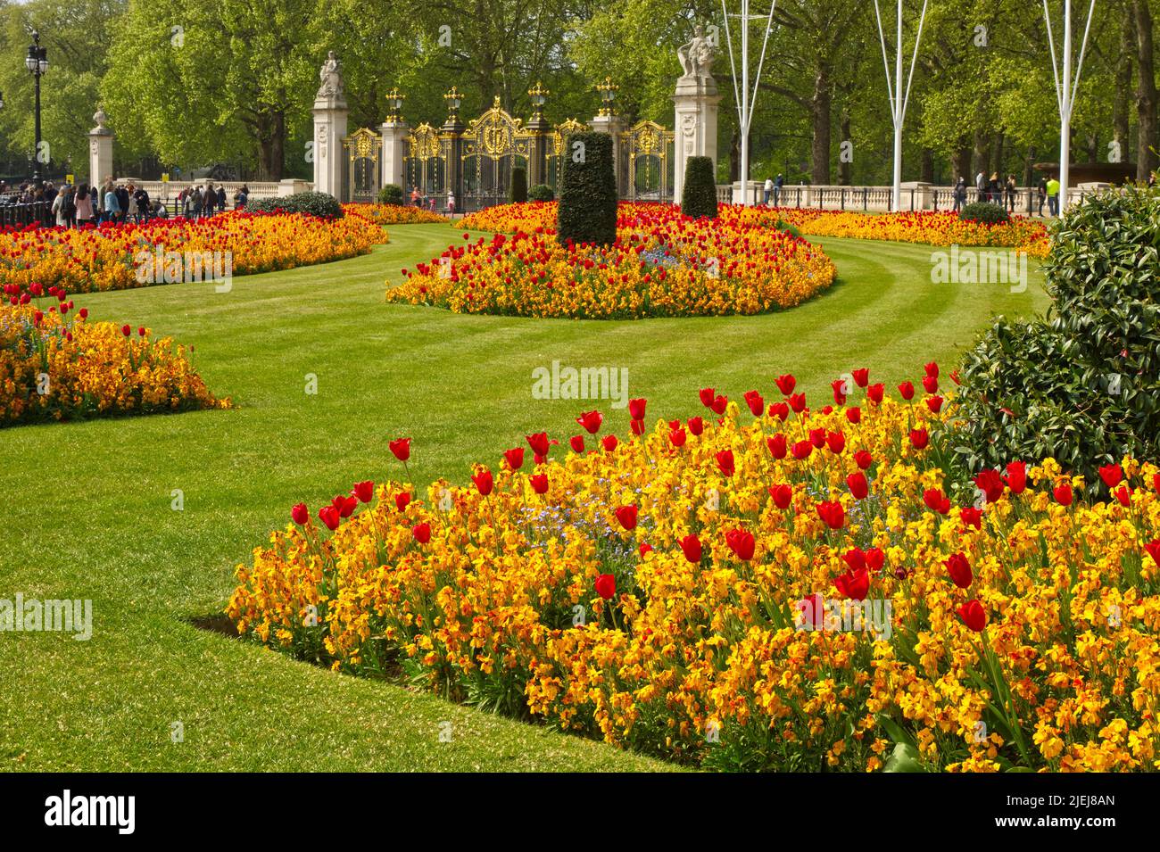Formal Flowerbeds of tulips and other flowers outside Buckingham Palace