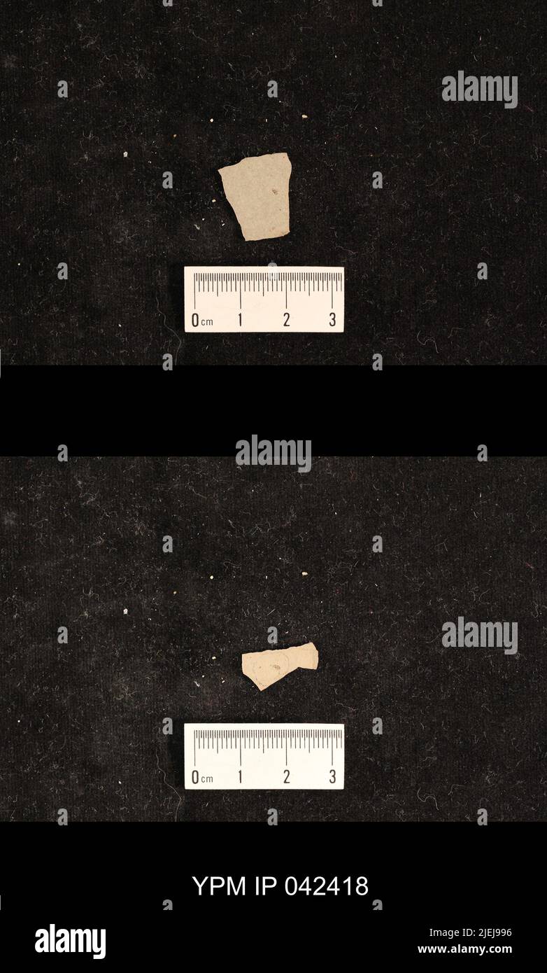 Psocoptera. IPC.01721: Colorado. Park County. paper sh unit of Antero ...