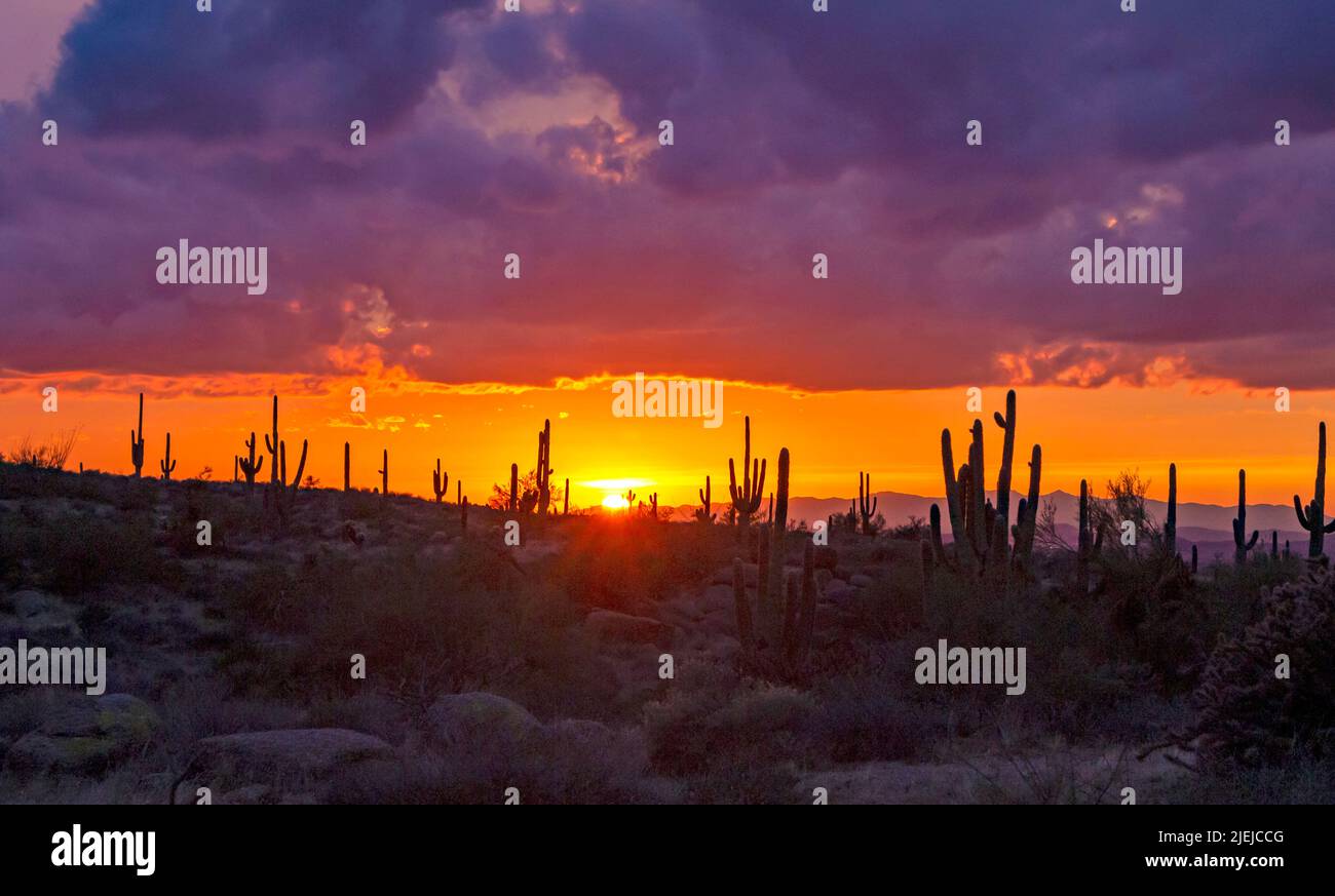 Wide Ratio View Of Arizona Sunset Skies And Landscape Stock Photo