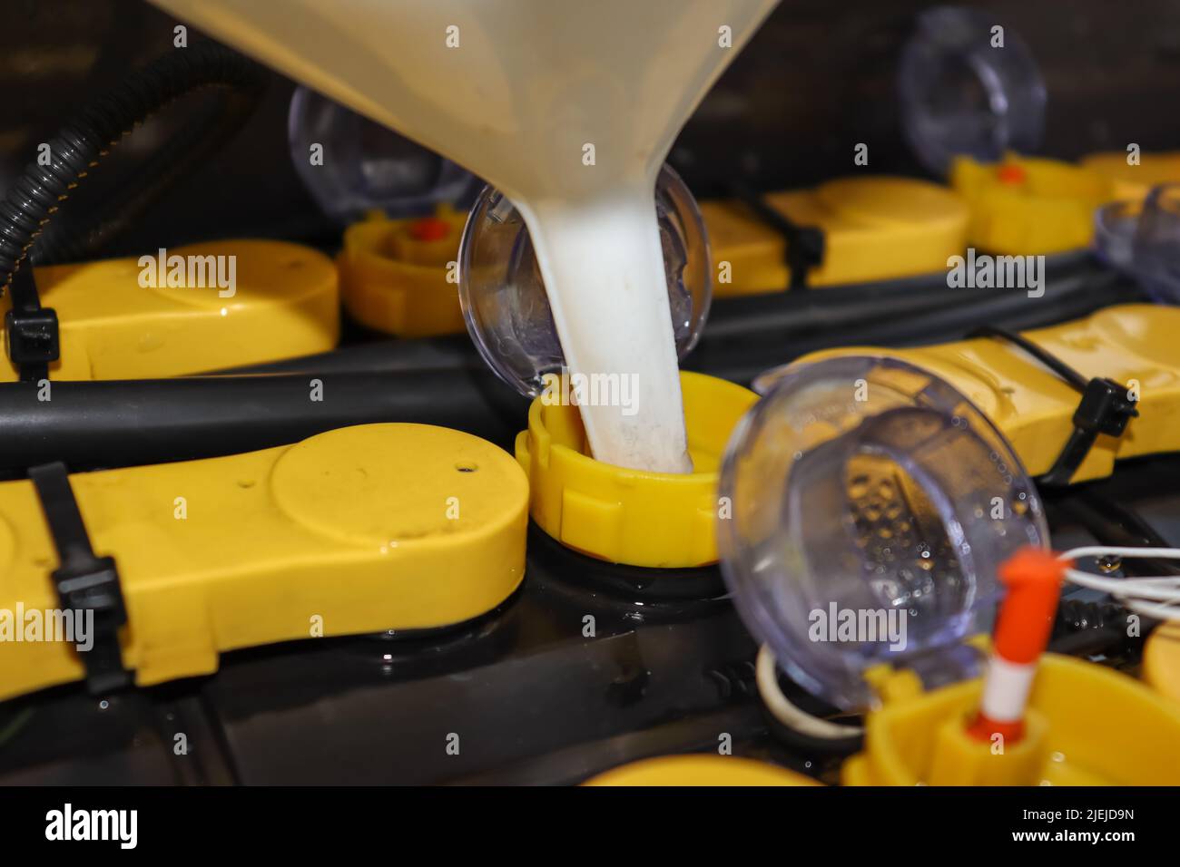Adjust the battery distilled water level Stock Photo Alamy