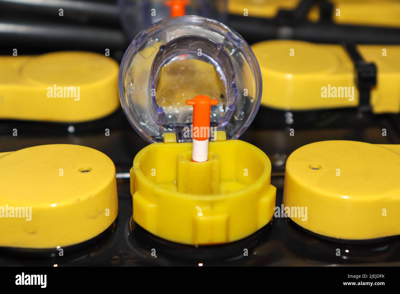 Adjust the battery distilled water level Stock Photo Alamy