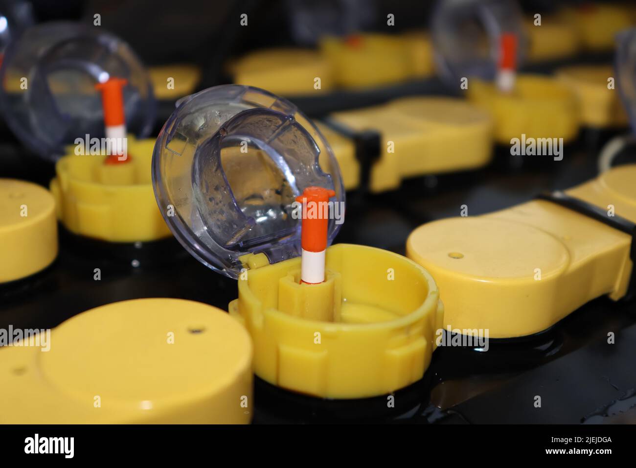 Adjust the battery distilled water level Stock Photo Alamy