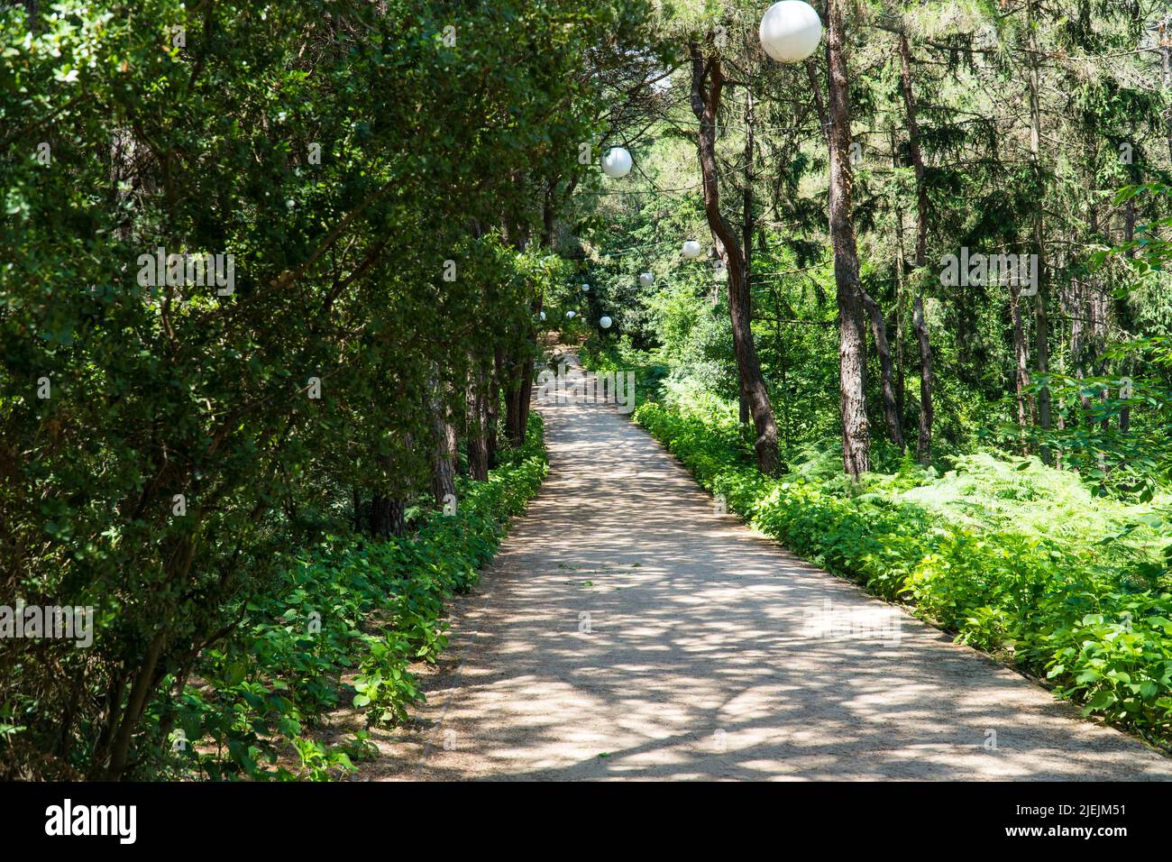 Ataturk Kent Ormani in Istanbul Turkey. Ataturk Forest. Green spaces in
