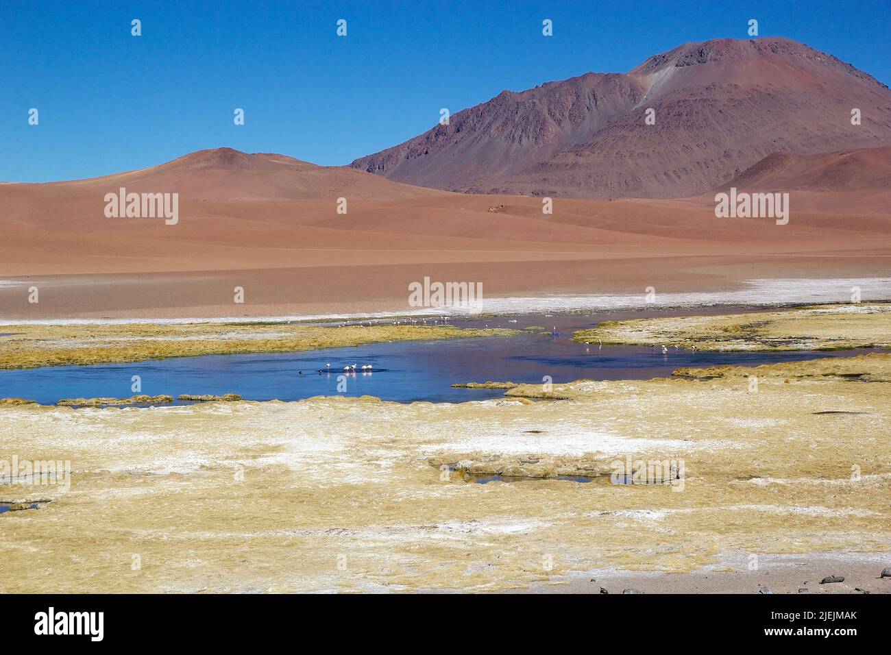 Salar de Tara and Aguas Caliente landscape in the Los Flamencos