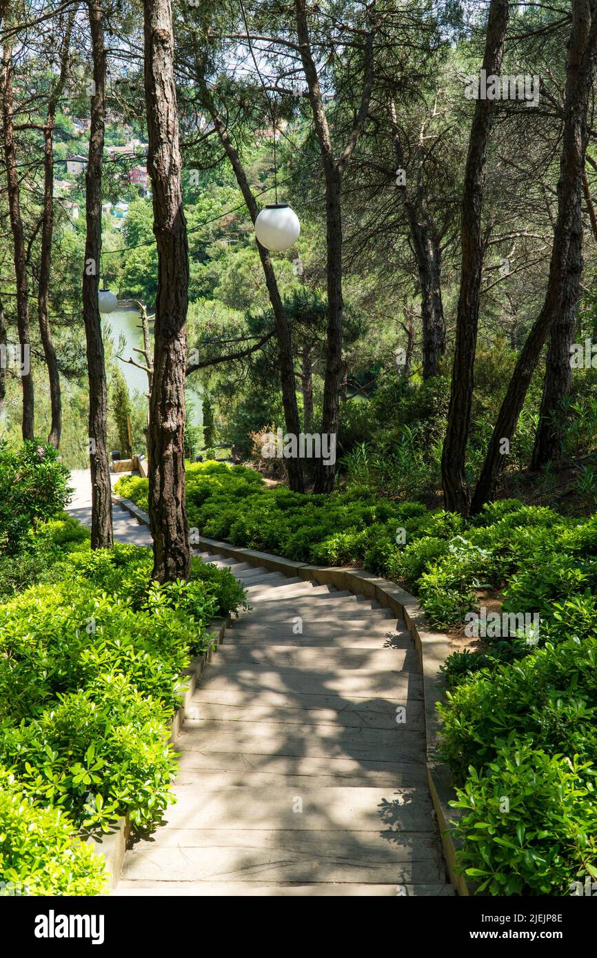 Ataturk Kent Ormani in Istanbul Turkey. Ataturk Forest. Green spaces in ...