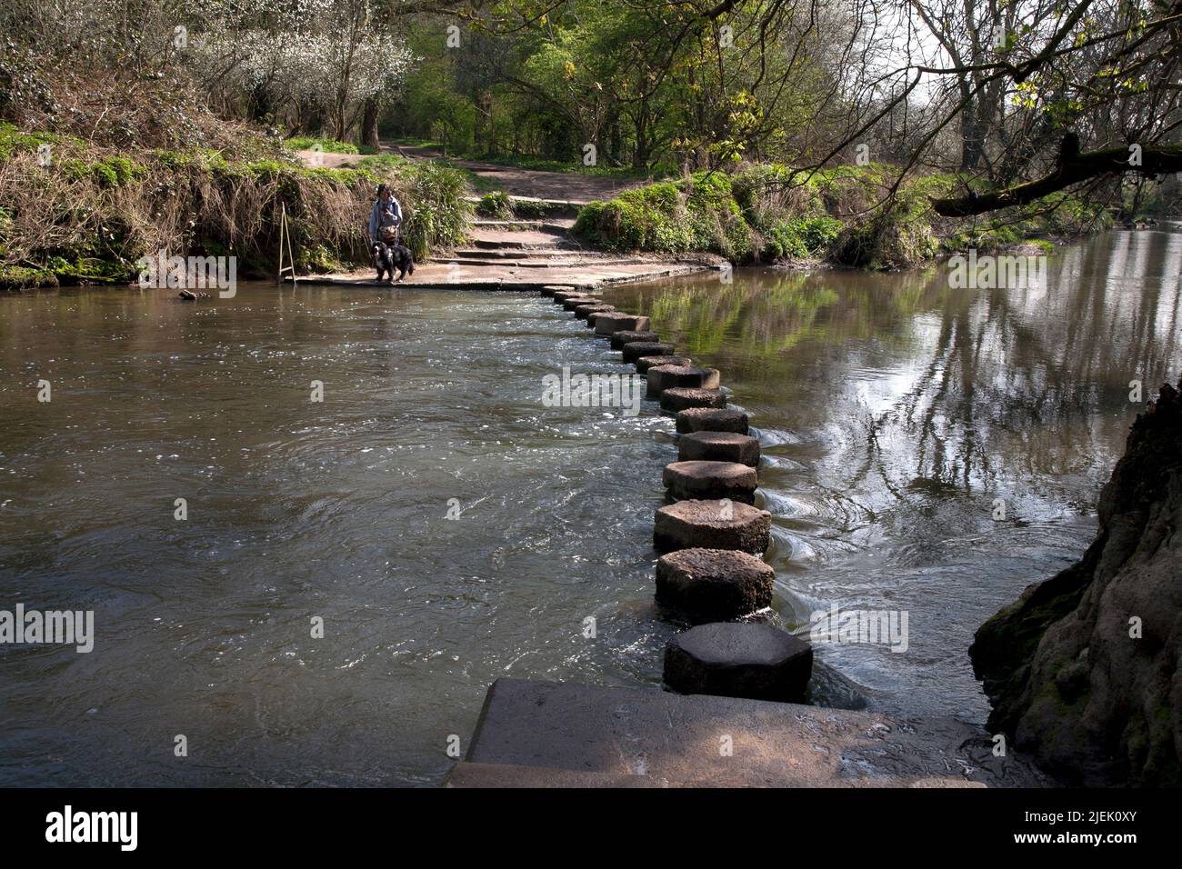 stepping stones river mole box hill north downs surrey england Stock Photo