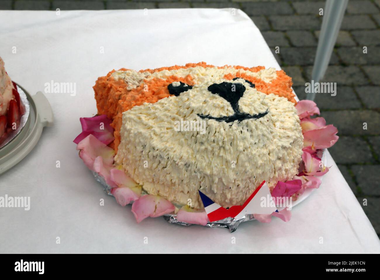 Cake Decorated as a Teddy Bear For Queen Elizabeth II Platinum Jubilee