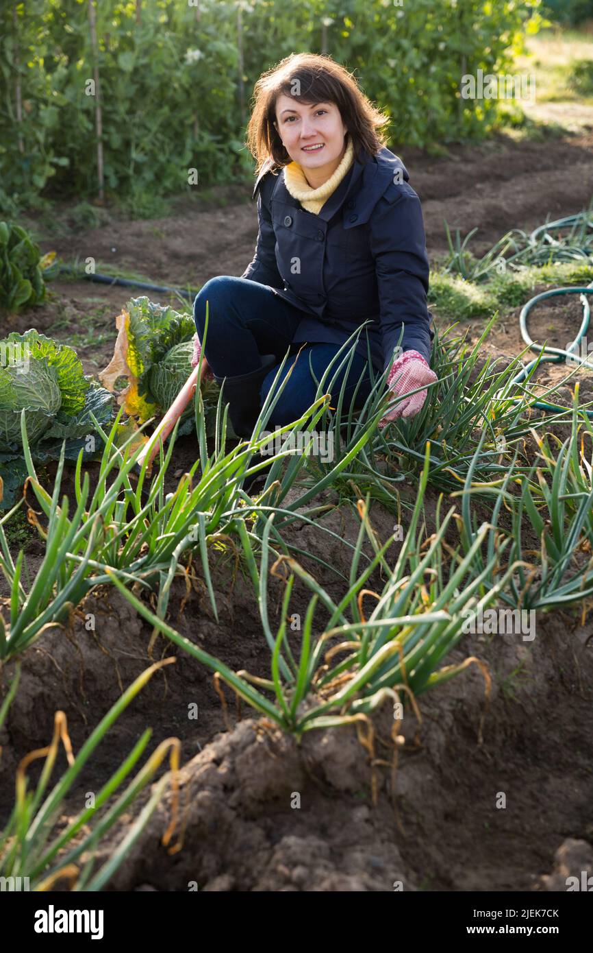 Weeding Onions Young woman hoe weeding vegetable hi-res stock photography and images ...
