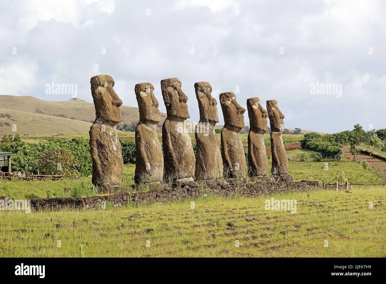 Ahu Akivi, Easter island, Chile. Ahu Akivi is a sacred place with seven ...