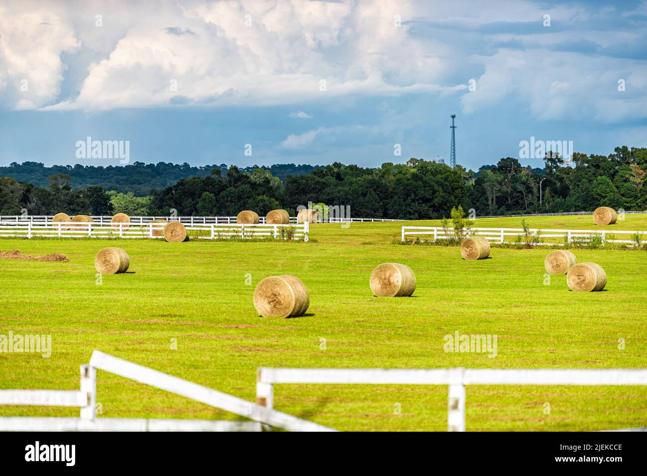 Hay roll bales on countryside field farm in Alachua in Florida, USA rural area with farmland meadow white picket fence background and stormy sunset sk Stock Photo
