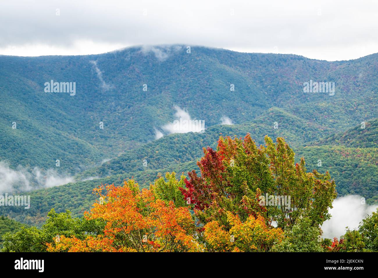 High angle aerial view from near Richland Balsam overlook on Blue Ridge Appalachian mountains parkway in North Carolina with fall leaf colorful foliag Stock Photo
