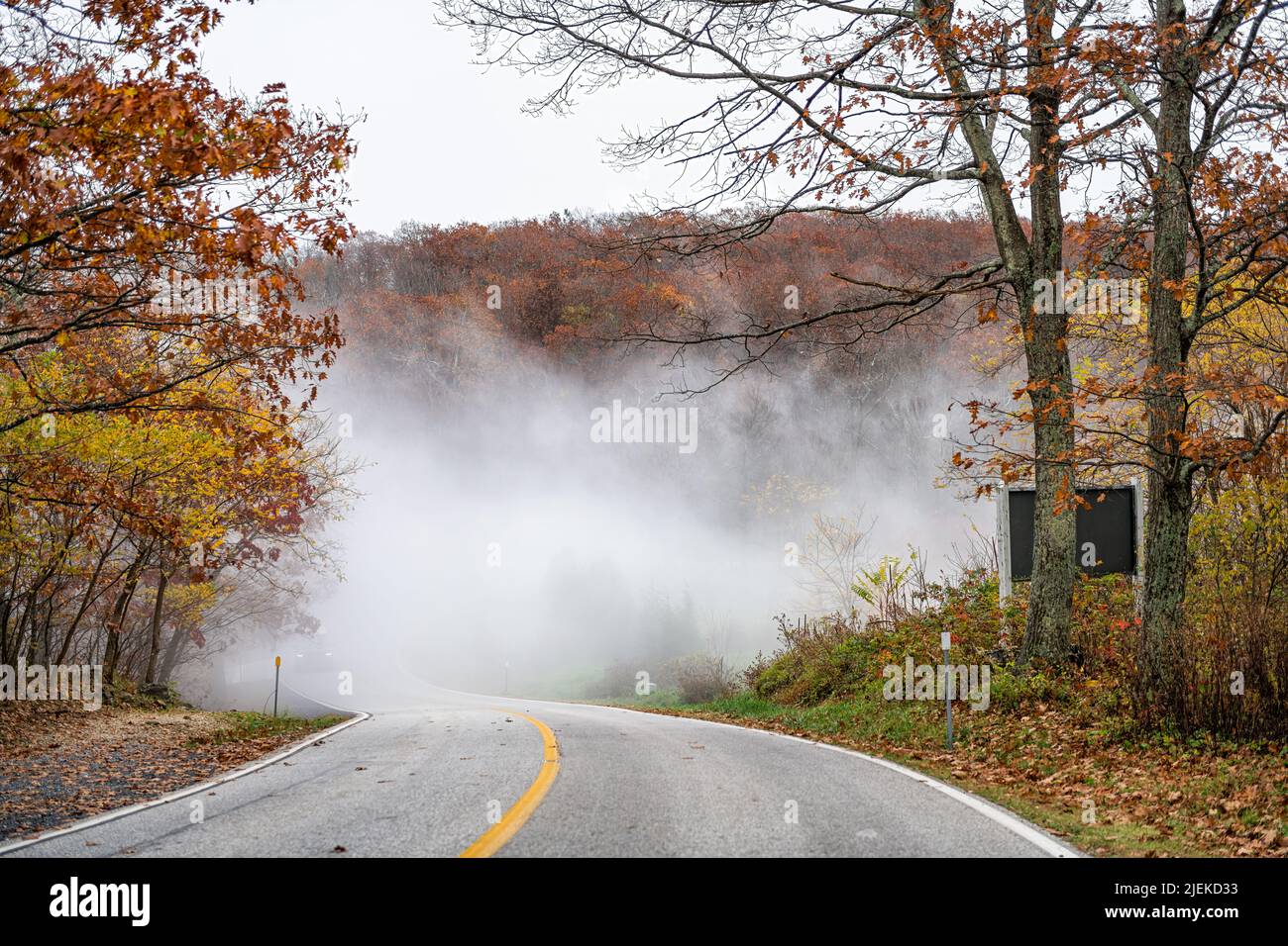 Colorful orange red foliage maple trees leaves in autumn fall season in Wintergreen Resort ski resort town city, Virginia with paved road driving poin Stock Photo