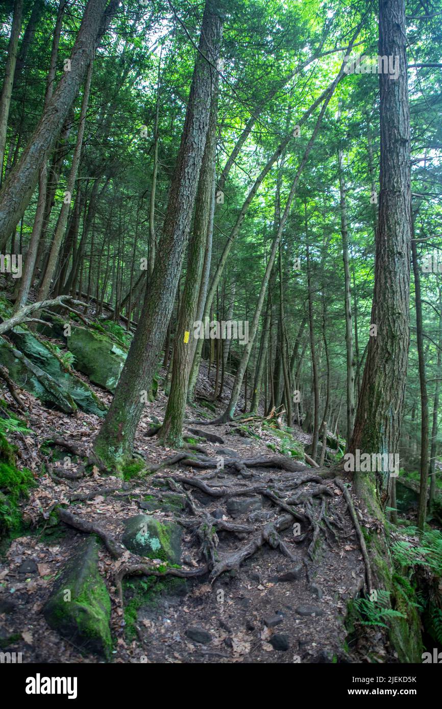 McConnells Mill is a popular State Park in Western Pennsylvania. Its