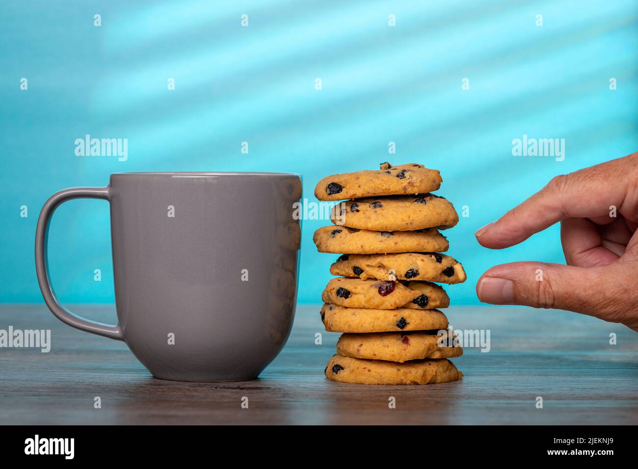 stack of home cooked cookies and a grey mug against a blue background with a hand taking a cookie. Stock Photo