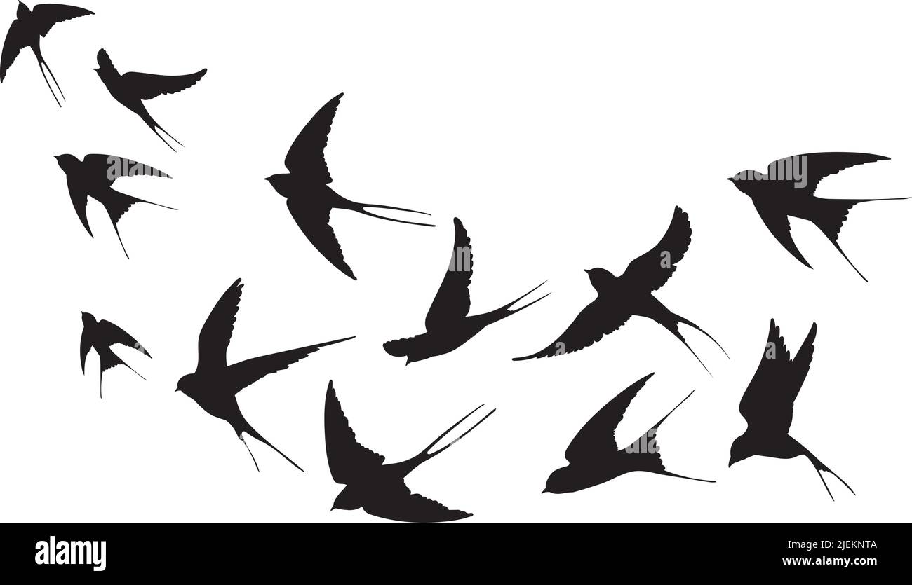 Flock of swallows. Silhouettes crowd flying birds away sky, flyingof sea free black bird aloft swift flight swarm swallow above cloud skyline, silhouetts neat vector illustration of flock bird Stock Vector