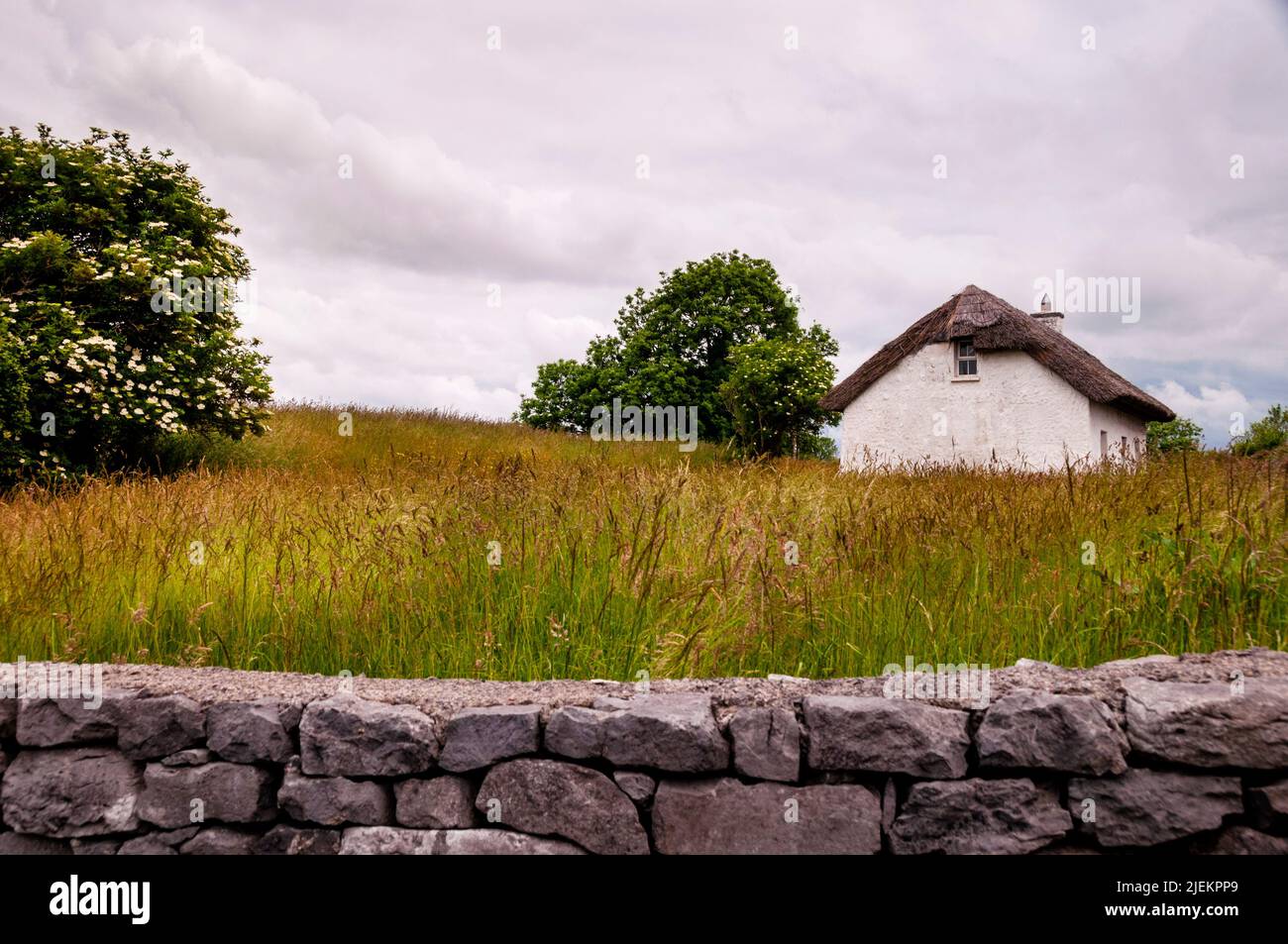 Seaport village of Kinvara and a lovely rock wall and Irish thatched