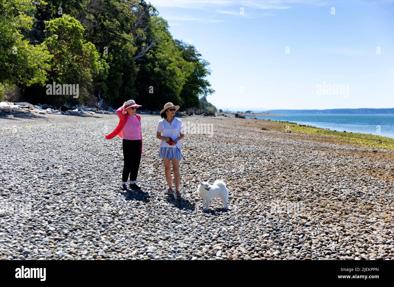 Mother and daughter walking their pet dog on the shoreline beach of the Puget sound in Washington State Stock Photo