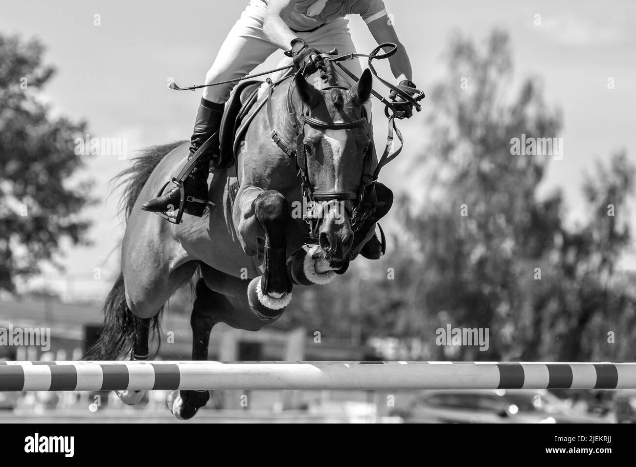 Horse Jumping, Equestrian Sports, Show Jumping themed photograph Stock Photo