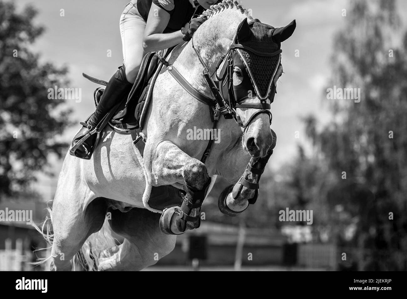 Horse Jumping, Equestrian Sports, Show Jumping themed photograph Stock Photo