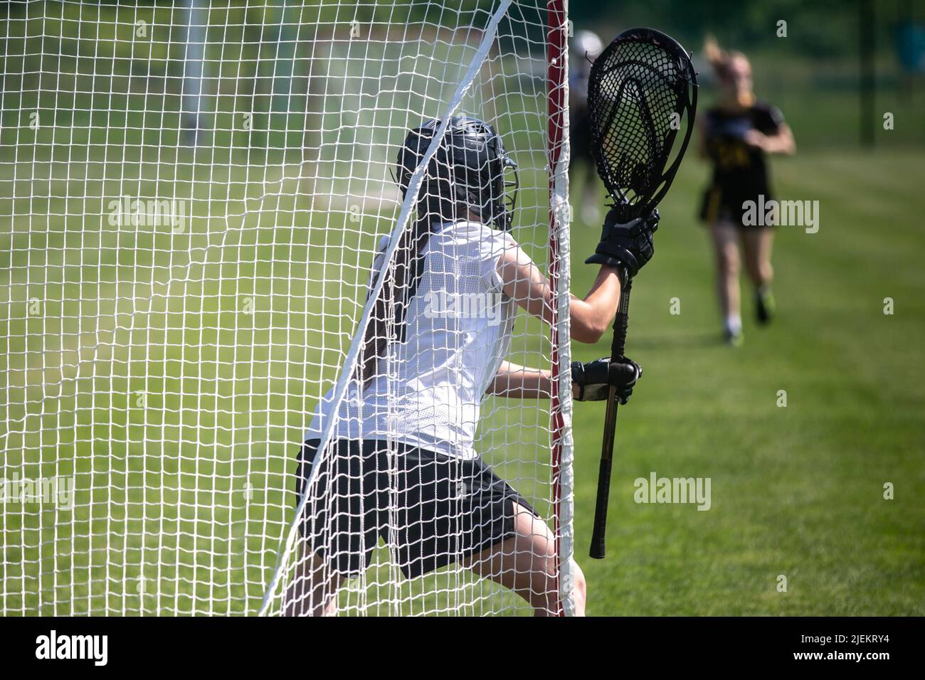 Lacrosse Themed Photo, American Sports Stock Photo
