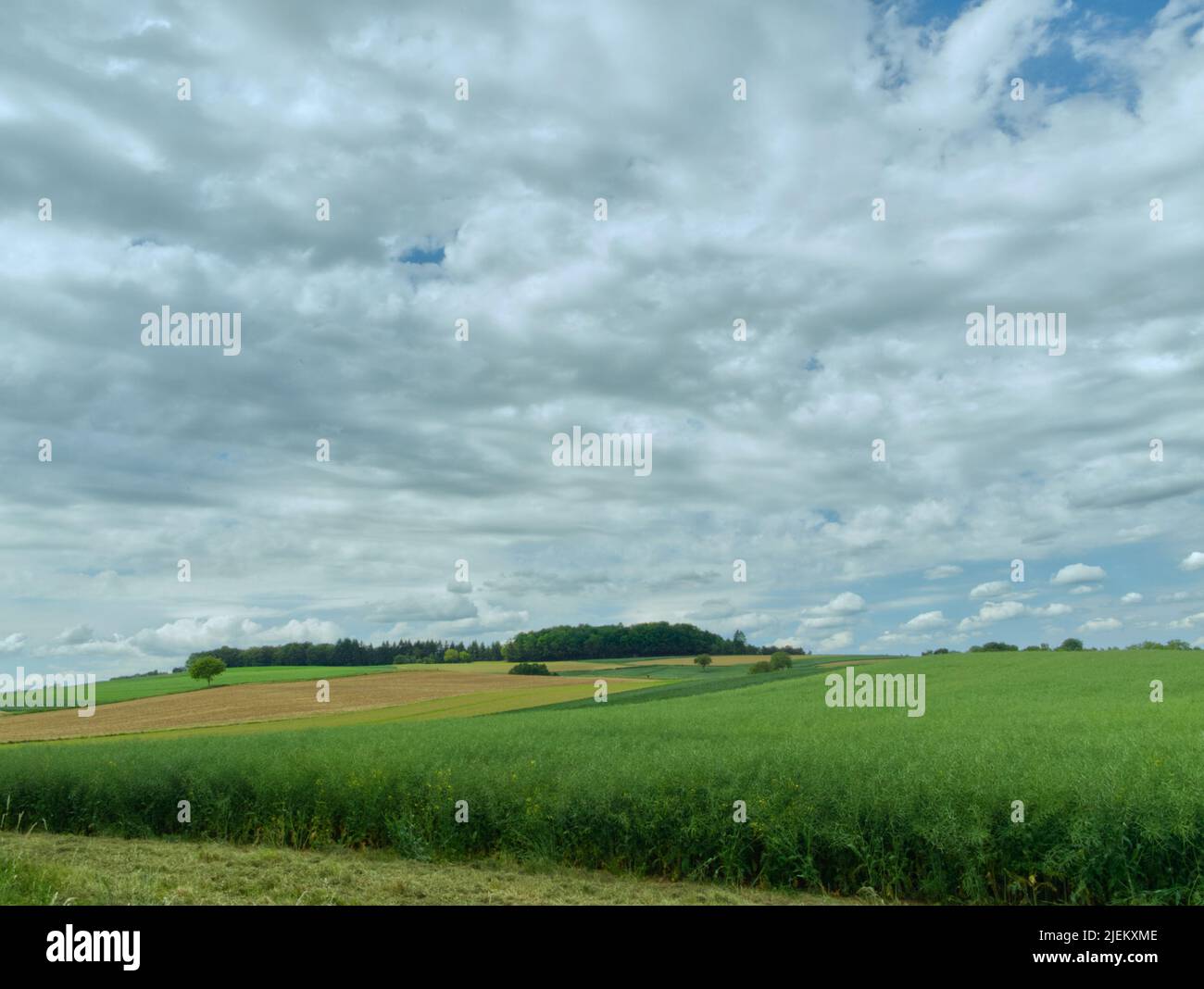 View of different landscape while hiking in mid summer. A contrasting color of green and golden brown field with some dramatic clouds formation. Stock Photo