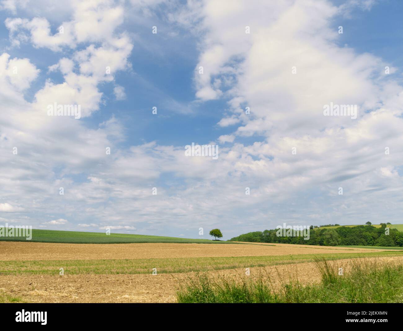 View of different landscape while hiking in mid summer. A contrasting color of green and golden brown field with some dramatic clouds formation. Stock Photo