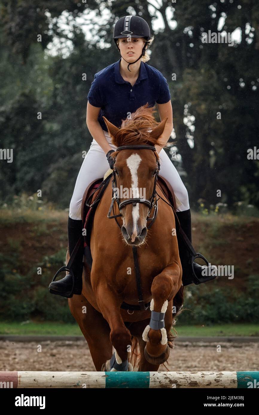 Close portrait of attractive rider woman jumping over obstacle on brown horse during eventing cross country competition in summer. Stock Photo