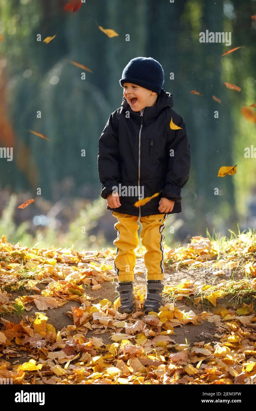 Happy kid having fun in autumn forest or park on fall day. Simple happiness. Sweet childhood memories. Toddler boy enjoy autumn and yellow leaves. Hap Stock Photo