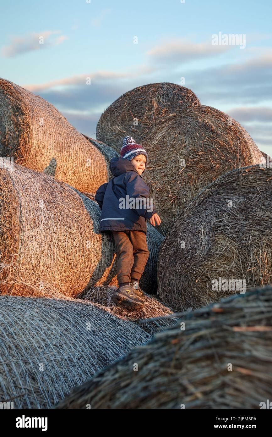 The little boy, wearing autumn clothes and a grandmother's knitted hat, plays outside on a pile of soft straw bales on an autumn evening. Stock Photo