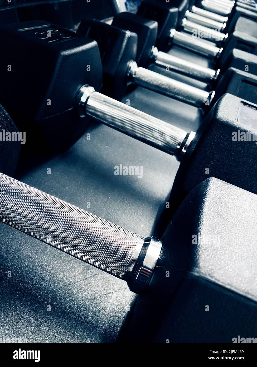 A rack of dumbbells in a gym Stock Photo