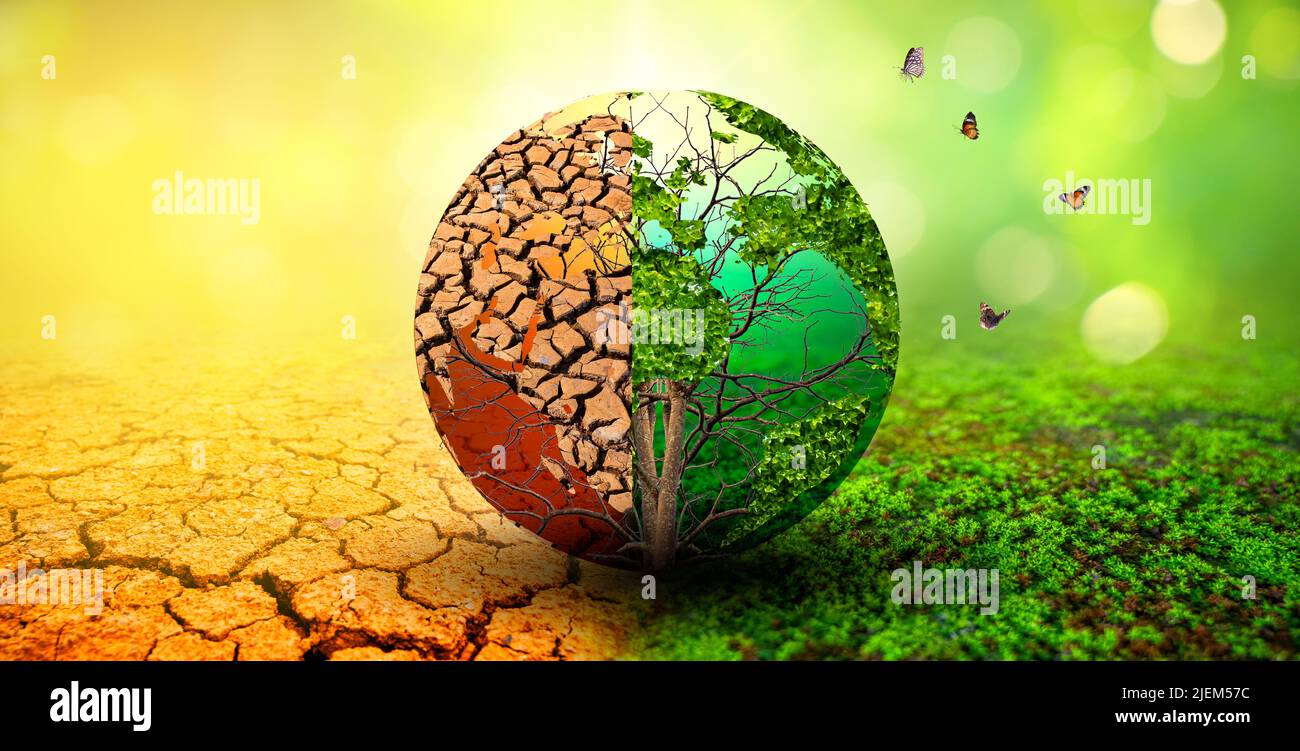 tree in two  with very different environments Earth Day or World Environment Day Global Warming and Pollution Stock Photo