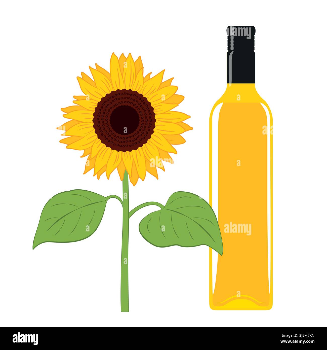 sunflower oil glass bottle isolated on white Stock Vector Image & Art Alamy