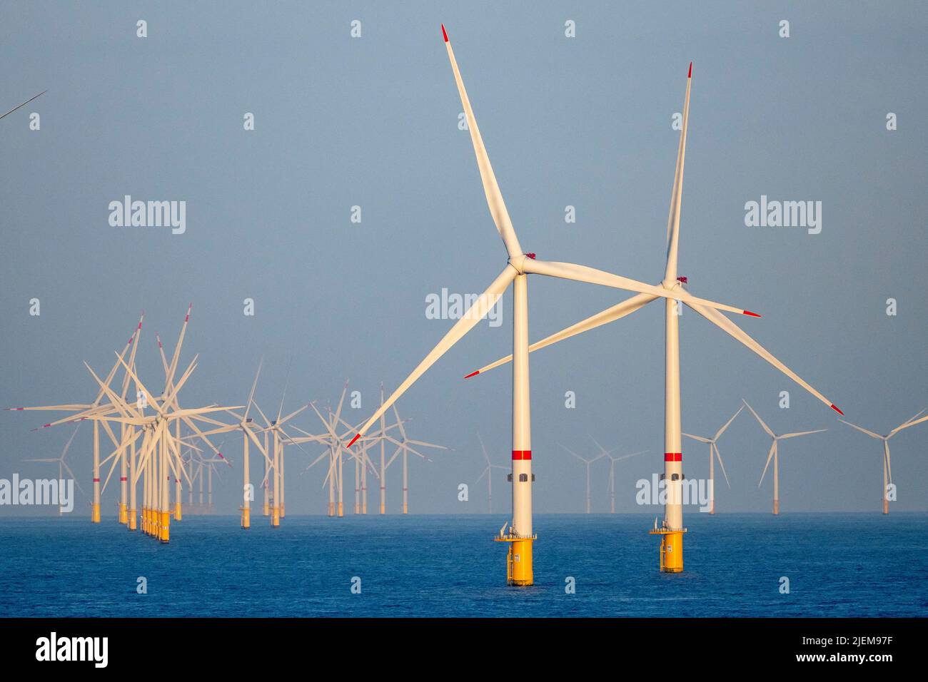Wind turbines at an offshore wind farm off the coast of Amsterdam. Stock Photo