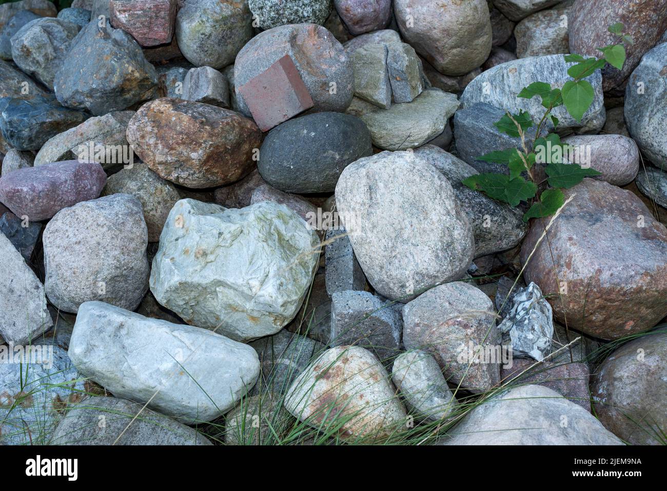Zoomed pile of large stones or rocks with green plants growing between. Above view of rocky landscape along a remote hiking trail in nature. Scenic Stock Photo