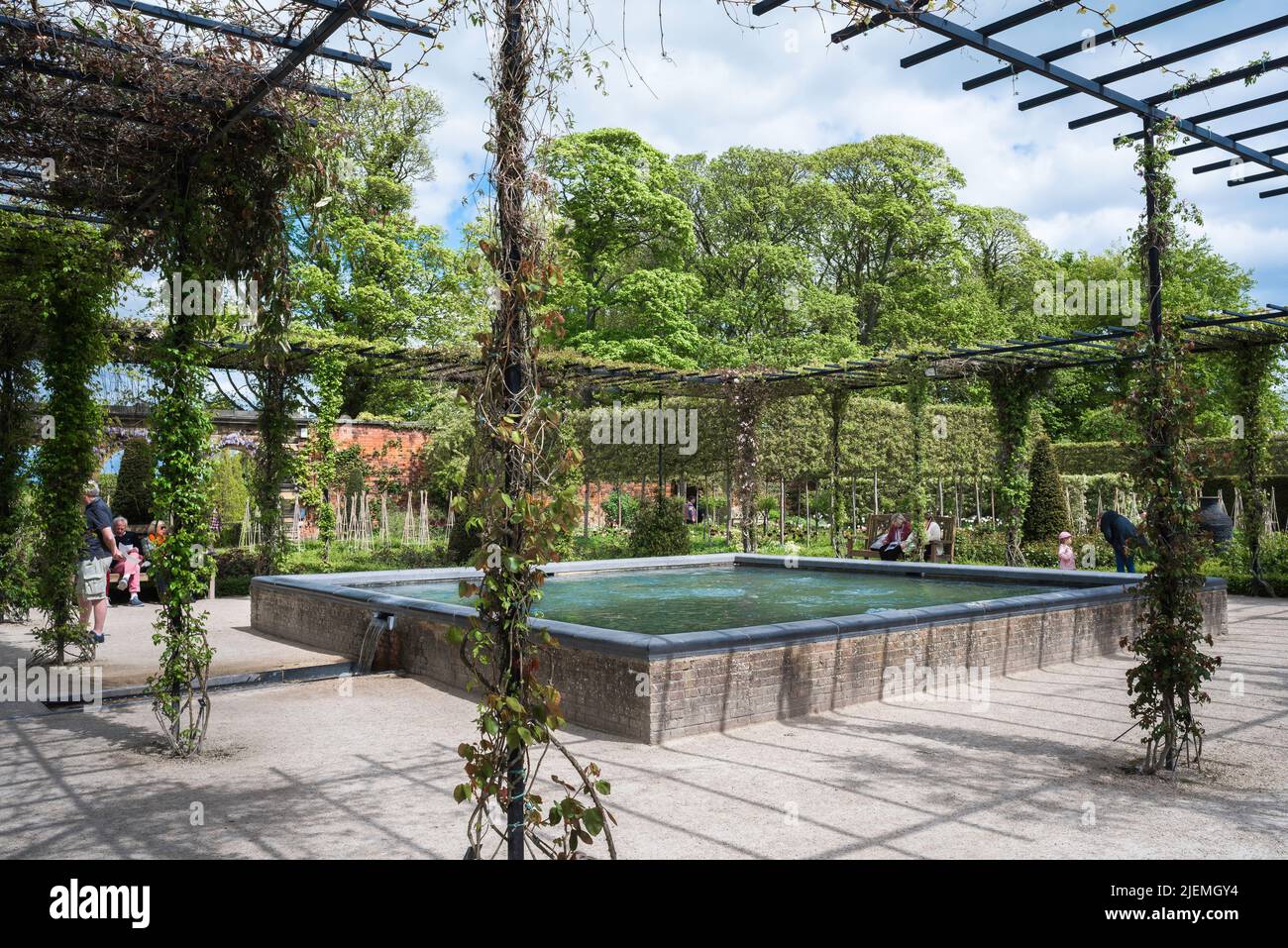 Alnwick Garden Northumberland, view in spring of the parterre garden and its centrepiece - a vine enclosed pool - in Alnwick Garden, Nothumberland UK Stock Photo
