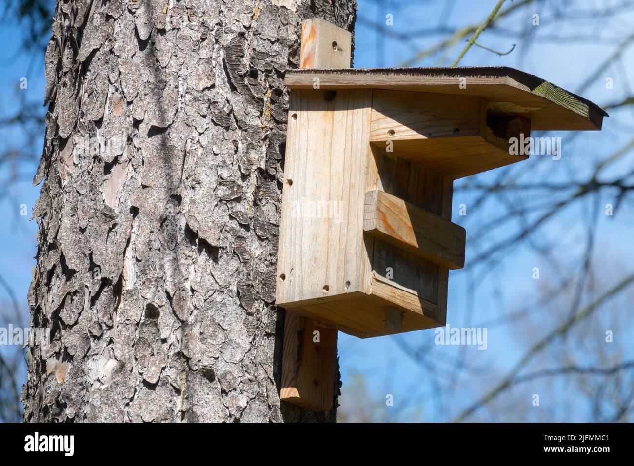 Wooden birdhouse, Hanging on Tree Trunk, Birdhouse in Garden Stock Photo