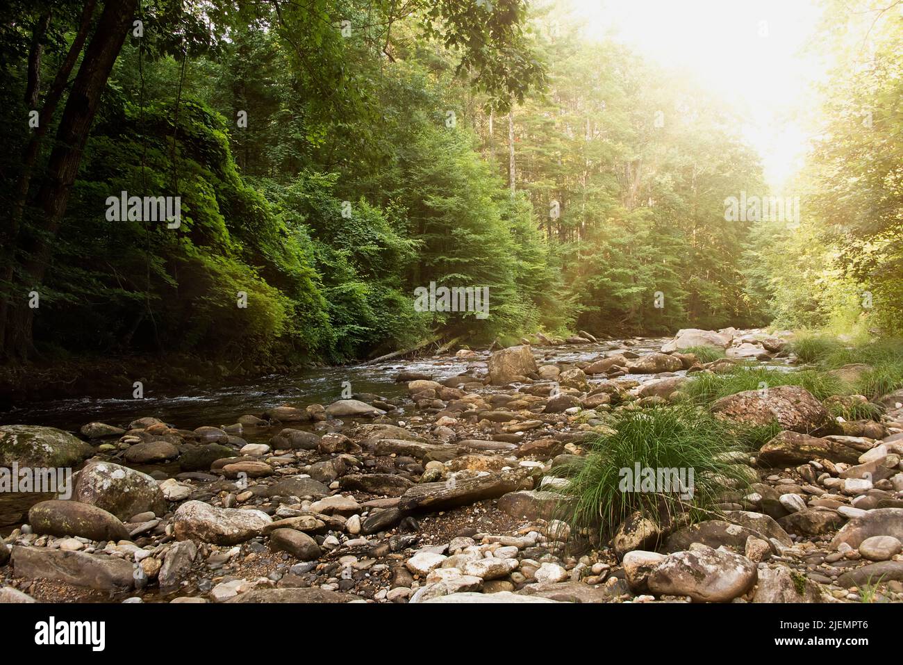 Sun Glows over the forest and Pigeon River in North Carolina Stock Photo