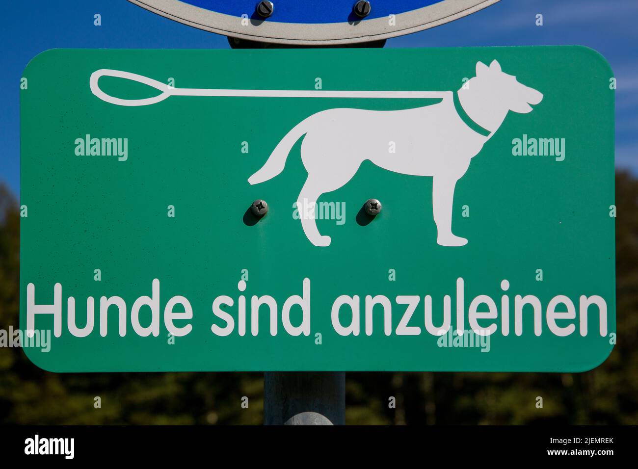Dog sign with the German text 'Hunde sind anzuleinen' translates into 'Dogs are to put on a leash' in English languages Stock Photo