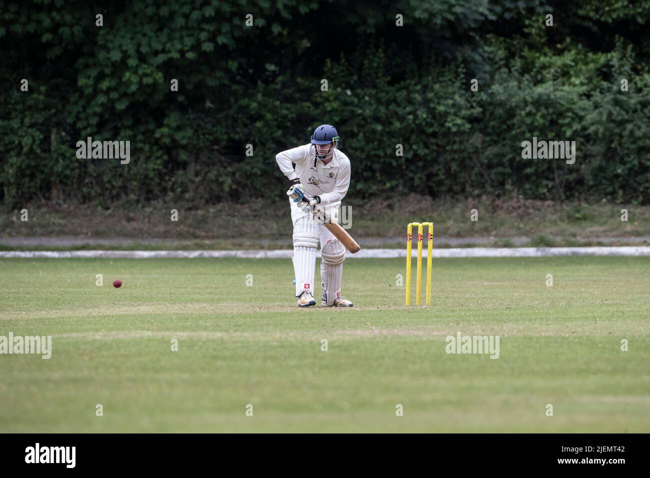 Left handed batsman preparing to play forward to a delivery in a village cricket match as the ball approaches Stock Photo
