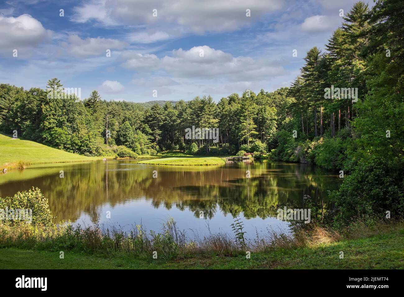 Scenic landscape of North Carolina with natural pond and forests. Stock Photo