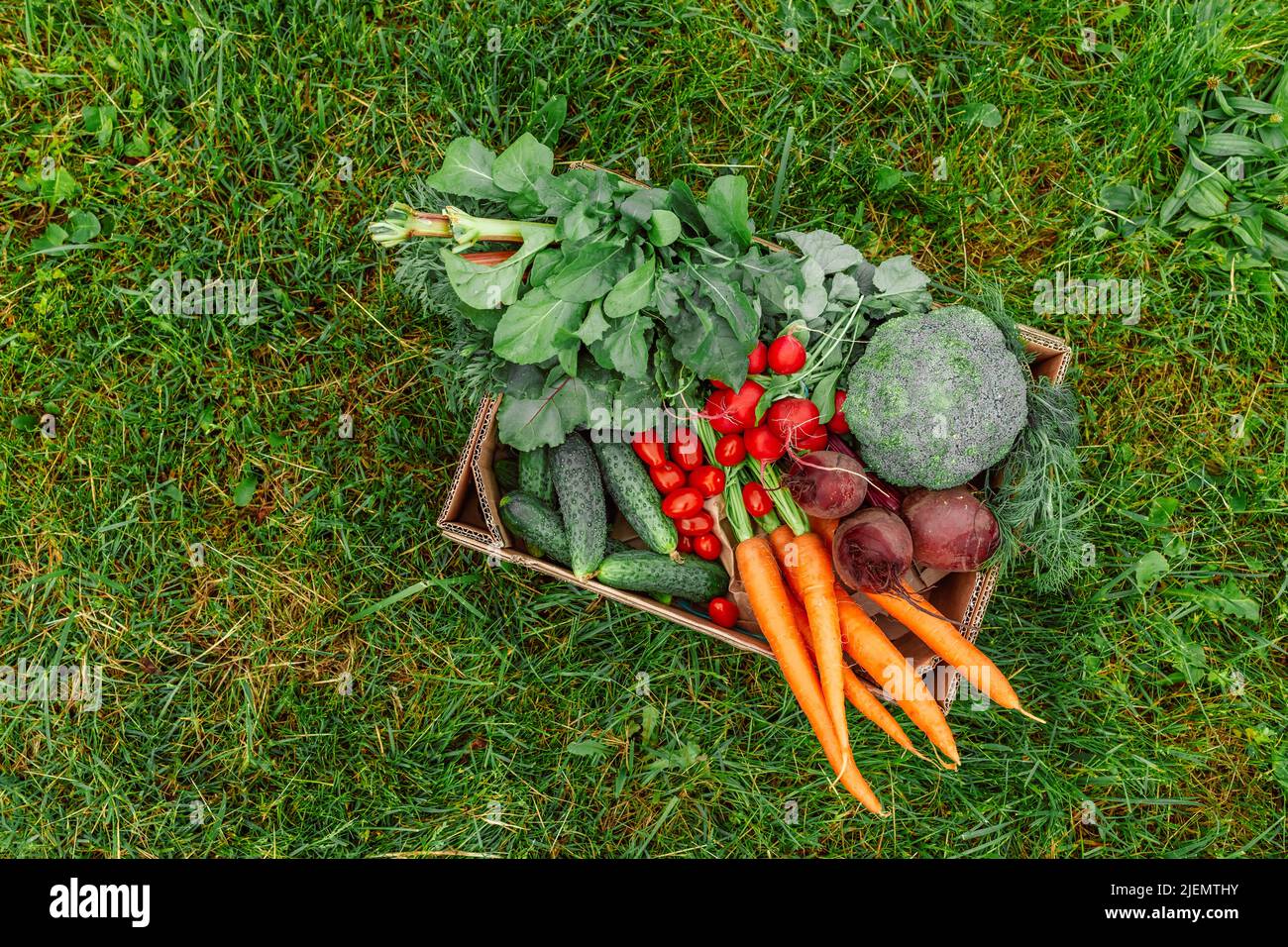 Fresh vegetables in the organic vegetable delivery box on the green