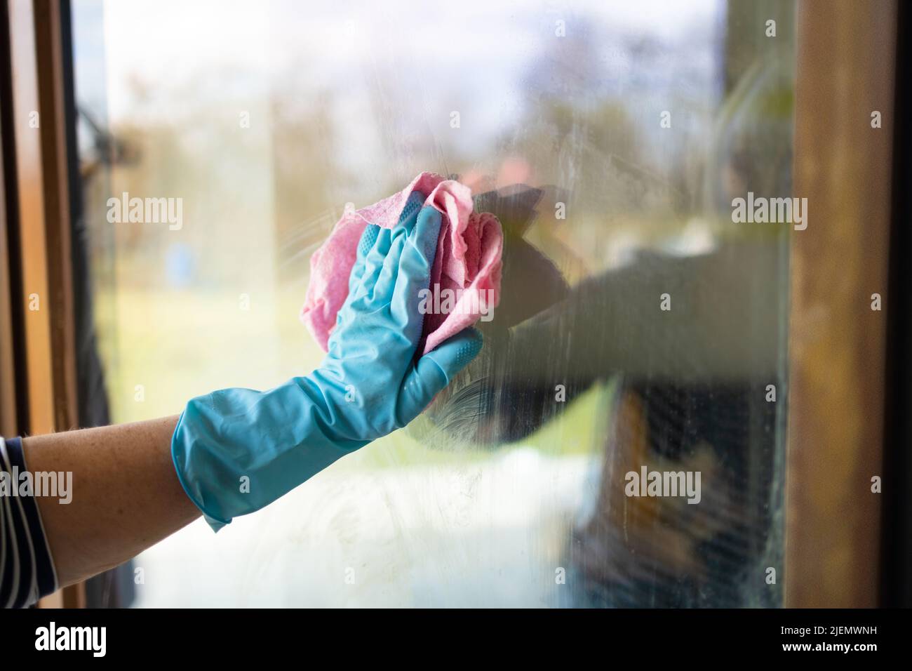 Someone Getting A Rag Woman hands in rubber gloves with a pink rag washes a window in the ...