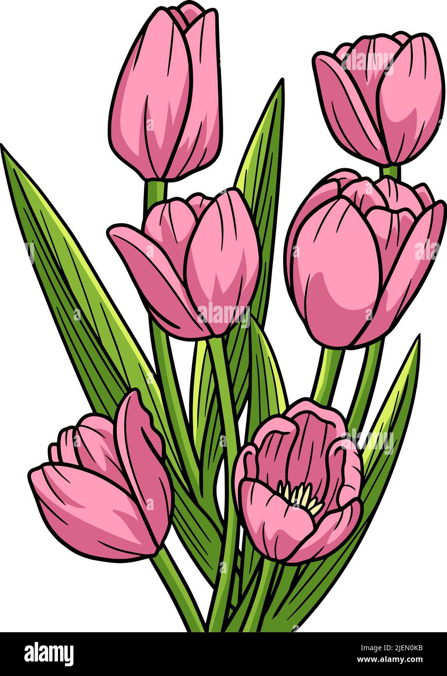 Didiers tulip Stock Vector Images - Alamy