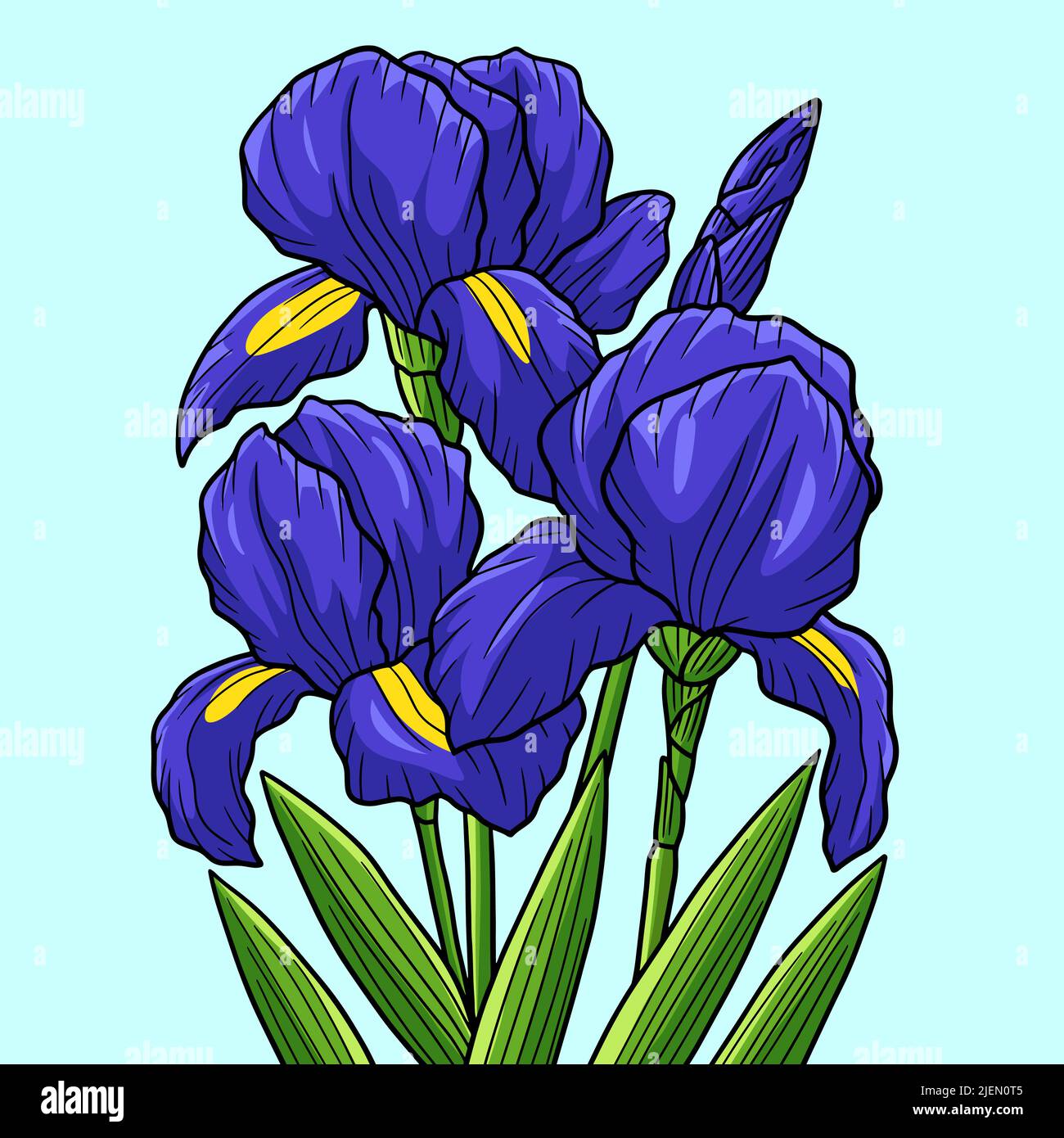Blue iris plant Stock Vector Images - Alamy