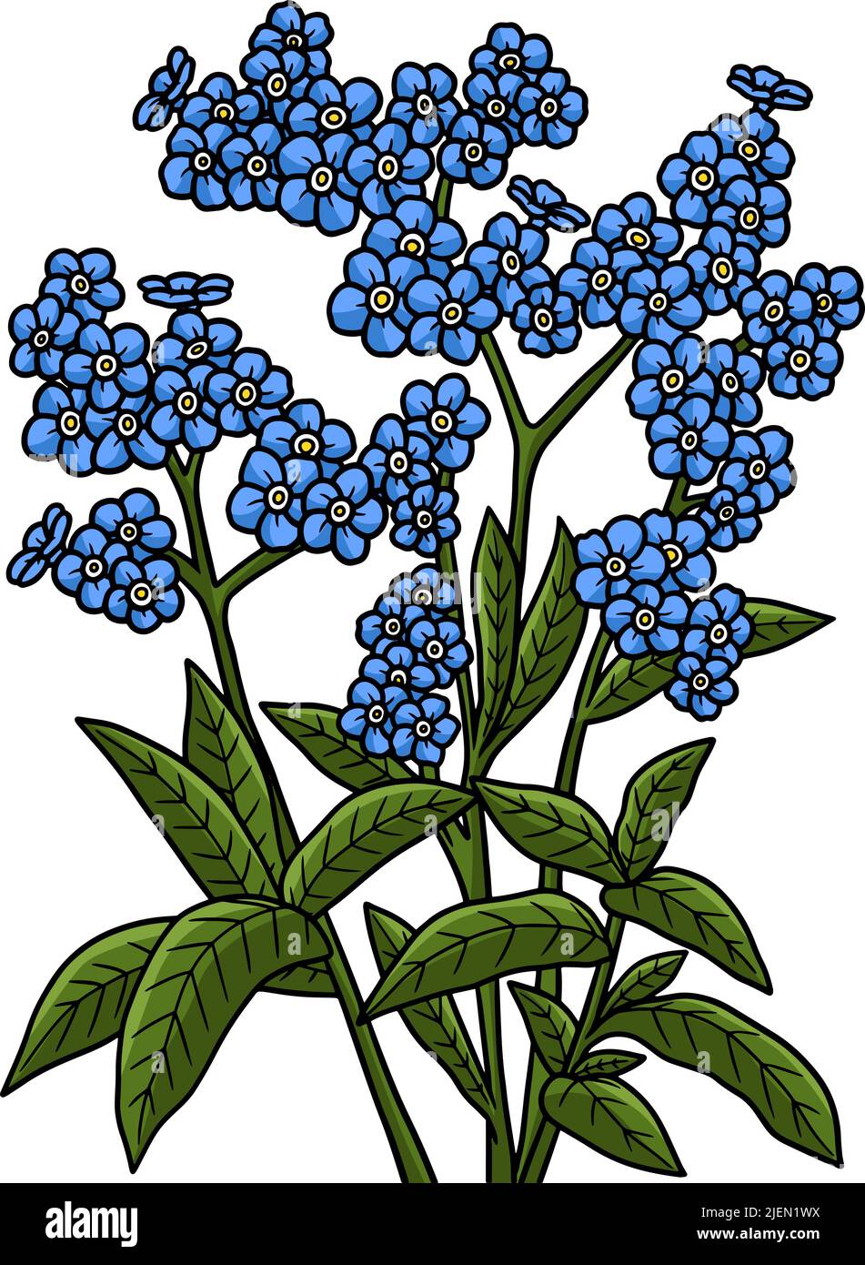 Forget me nots drawing Stock Vector Images - Alamy