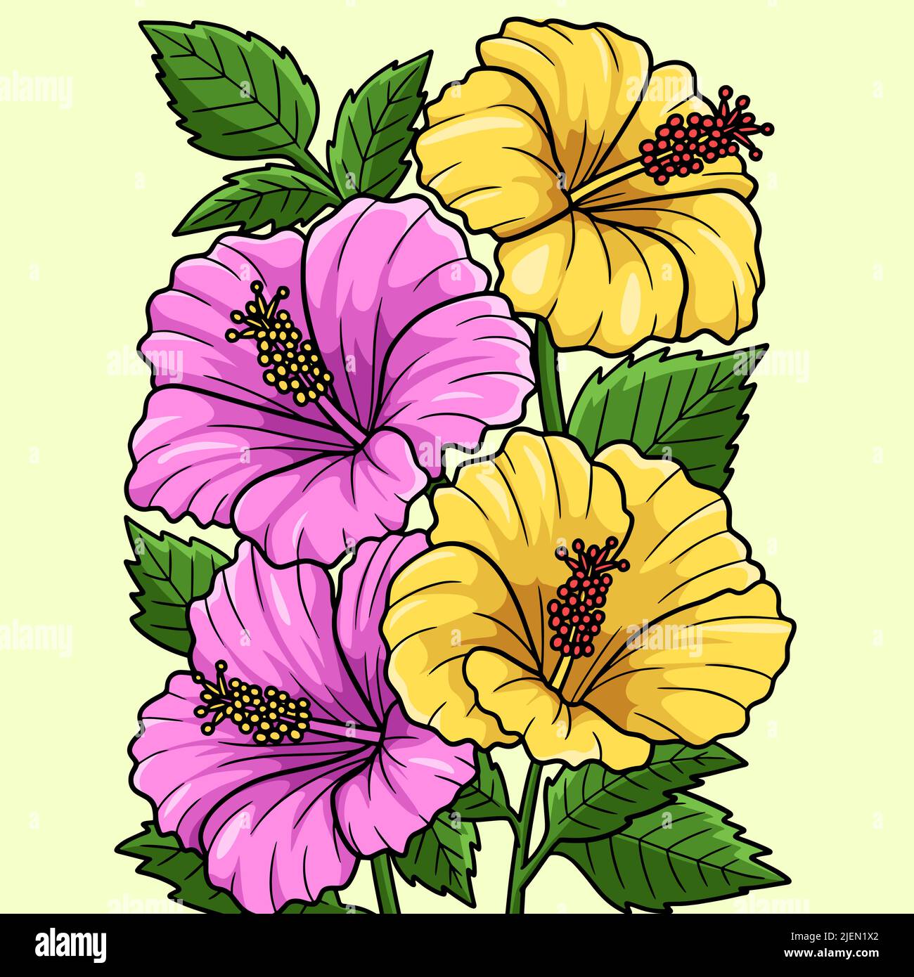 Hawaiian Flower Drawings Watercolour Transparent PNG  739x480  Free  Download on NicePNG
