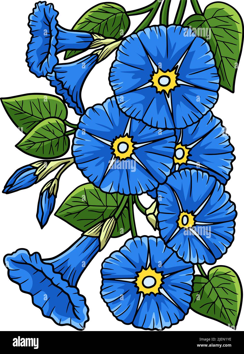 Morning Glory Flower Cartoon Colored Clipart Stock Vector